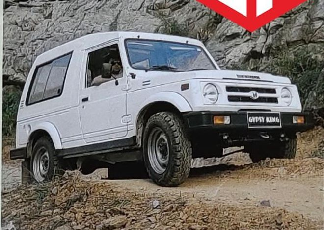 Gypsy King: белый высокий Hard Top с большой боковой секцией остекления