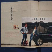 LANDMARK