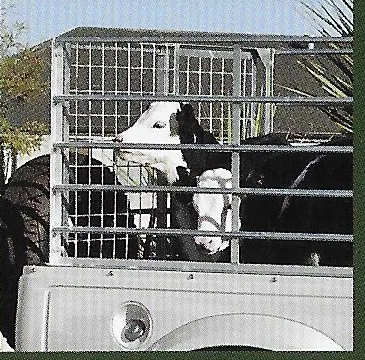 Новозеландская клетка для скота на Farm Worker