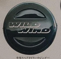 Wild Wind 1993: светлая надпись